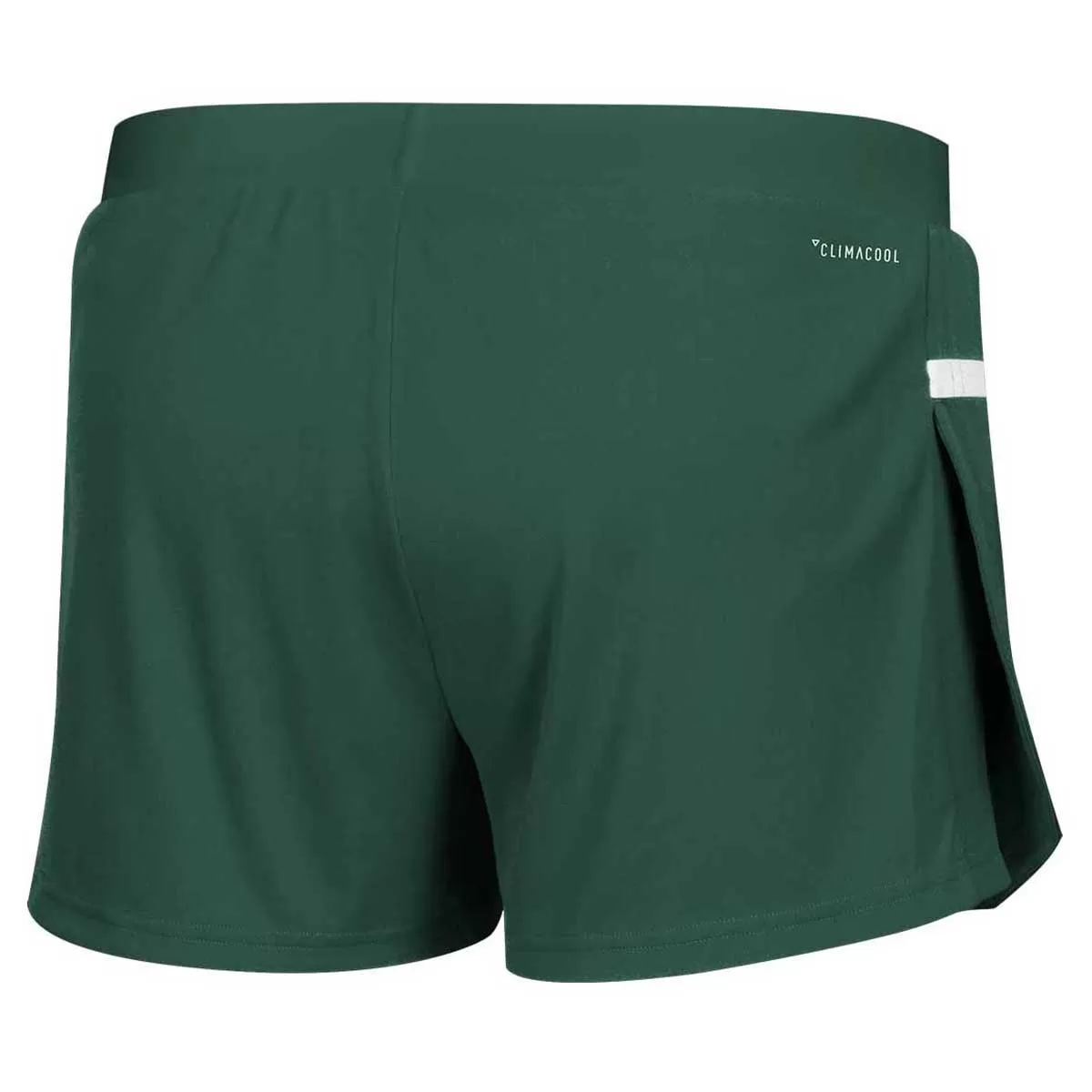 adidas Men's Team Dark Green/White Team 19 Running Shorts