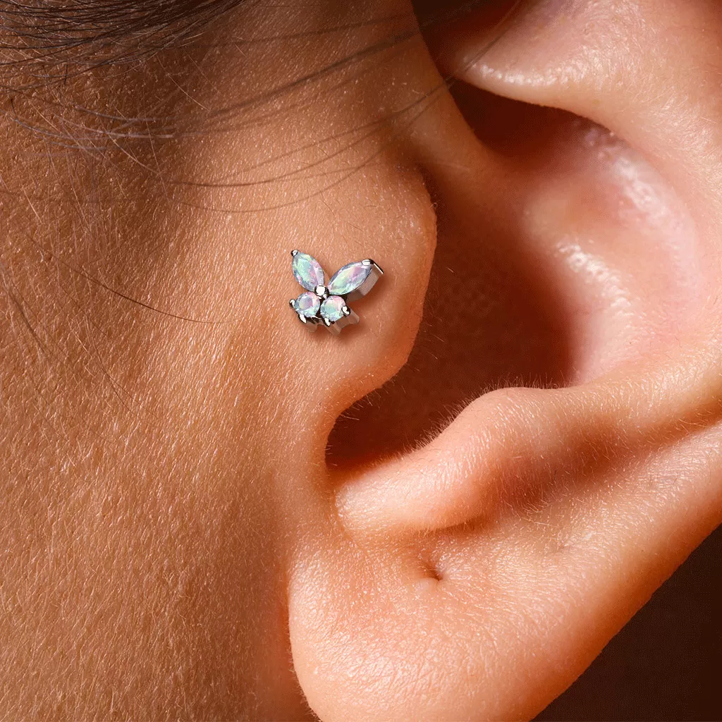 Bilpa Butterfly Body Jewellery. Labret, Monroe, Tragus and Cartilage Earrings.