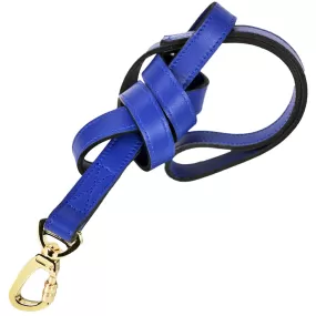 Estate Dog Leash in  Cobalt Blue & Gold