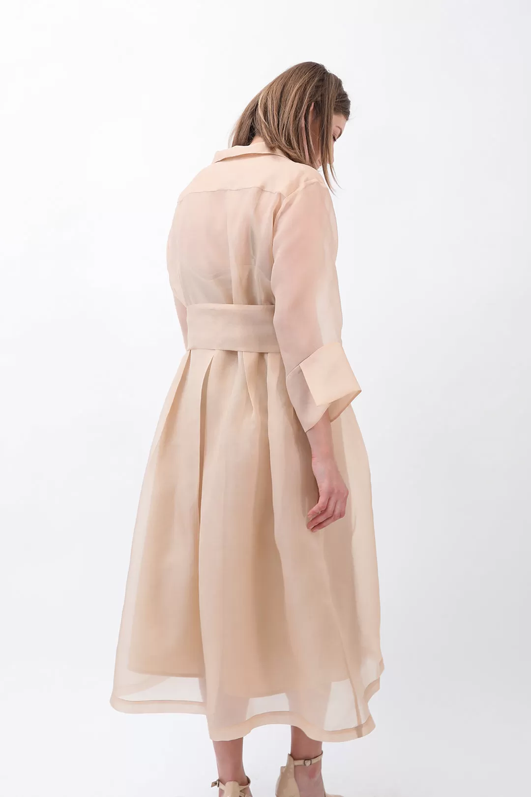 GABRIELLE DRESS IN SILK ORGANZA CHAMPAGNE