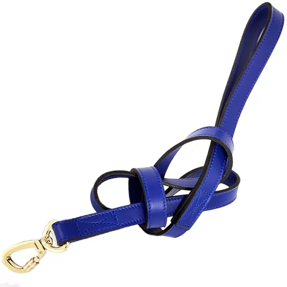 Hugs & Kisses Dog Leash in Cobalt Blue & Gold