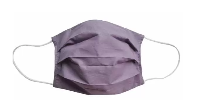 Popatu Purple Fabric Face Mask (Adult/Child)